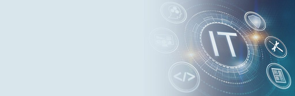 IT services for local government